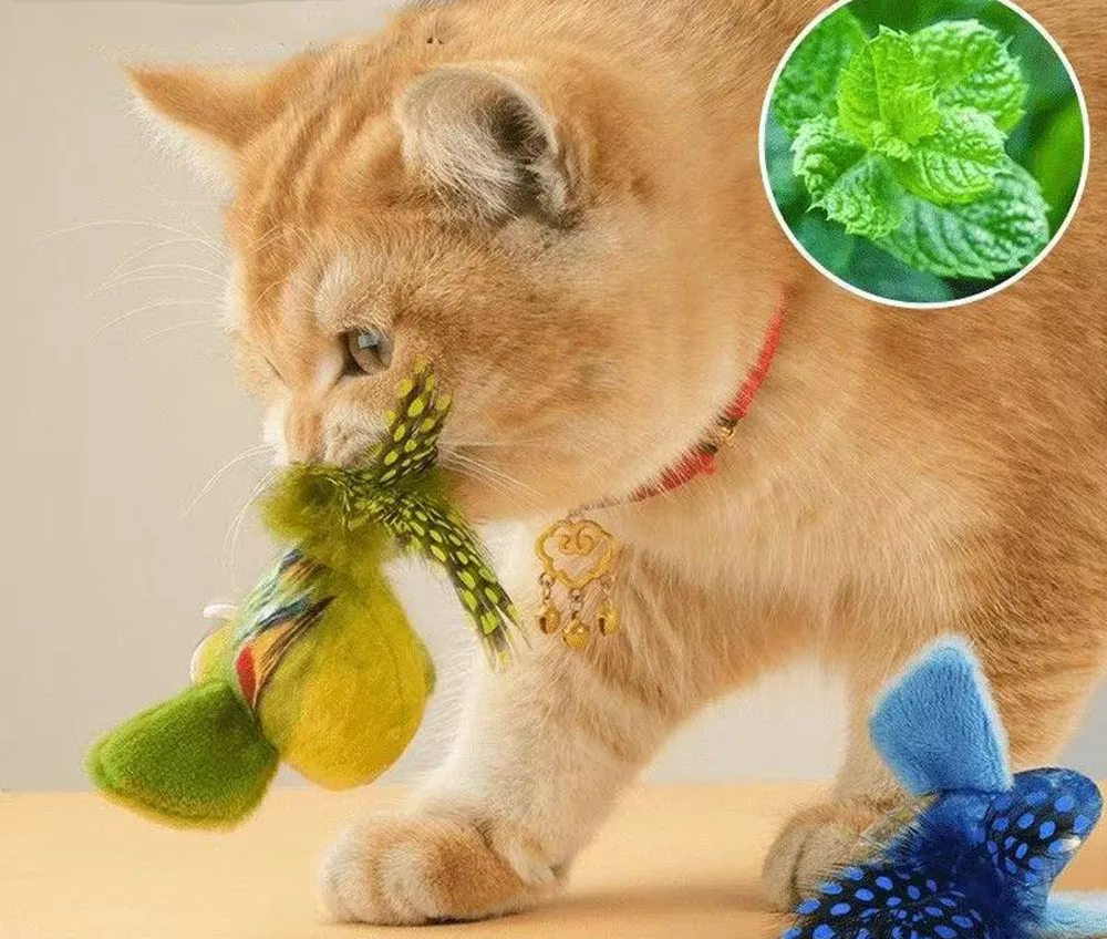 Simulation Vogel Interaktives Katzenspielzeug Realistisches VogelgerÀusch