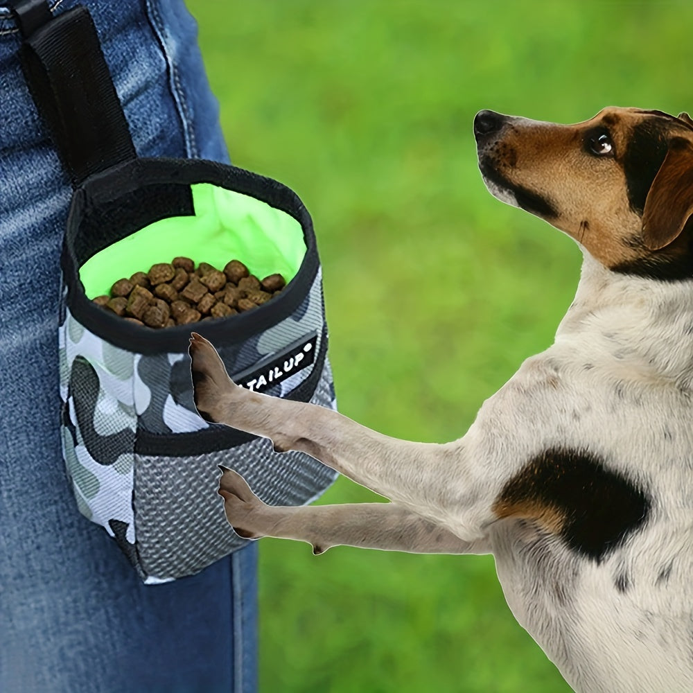 Hundetraining Spaziergang: So wird jeder Ausflug zum Lernerfolg