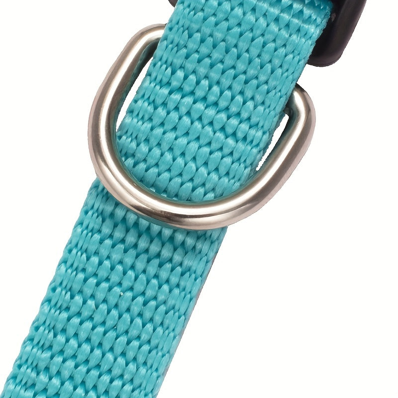 Stylische Hundehalsbänder: Ein lustiges und praktisches Accessoire für Ihren vierbeinigen Freund!