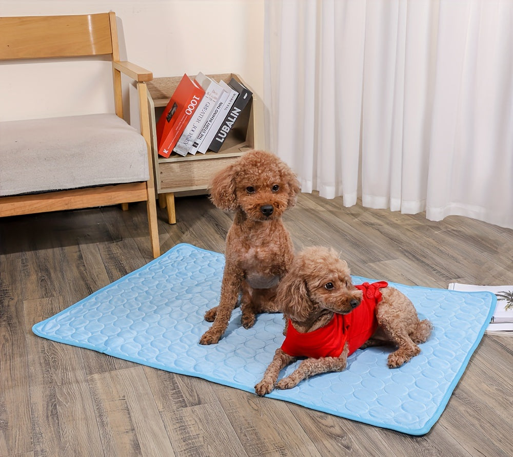 Halten Sie Ihr Haustier diesen Sommer kühl und komfortabel mit unserem Hundekissen-Kühlmatte!