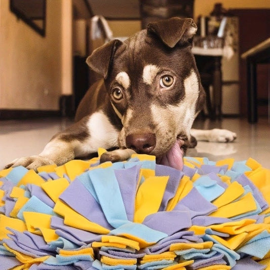Interaktive Schnüffelmatte für Hunde