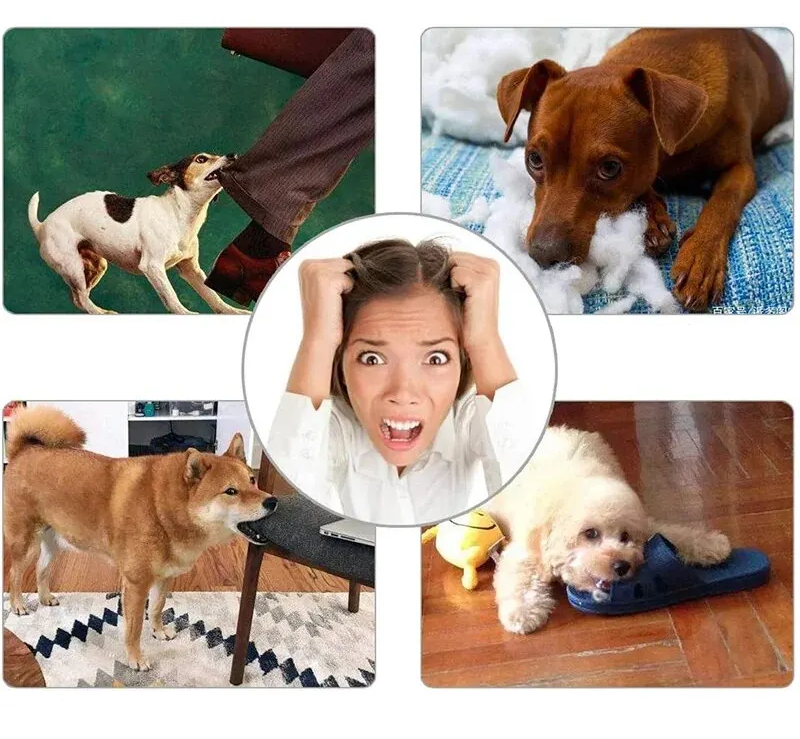 Hundespielzeugball, bissfester Spielzeugball für Hunde, Welpen, Futterball für Hunde, Zahnreinigungsball zum Kauen