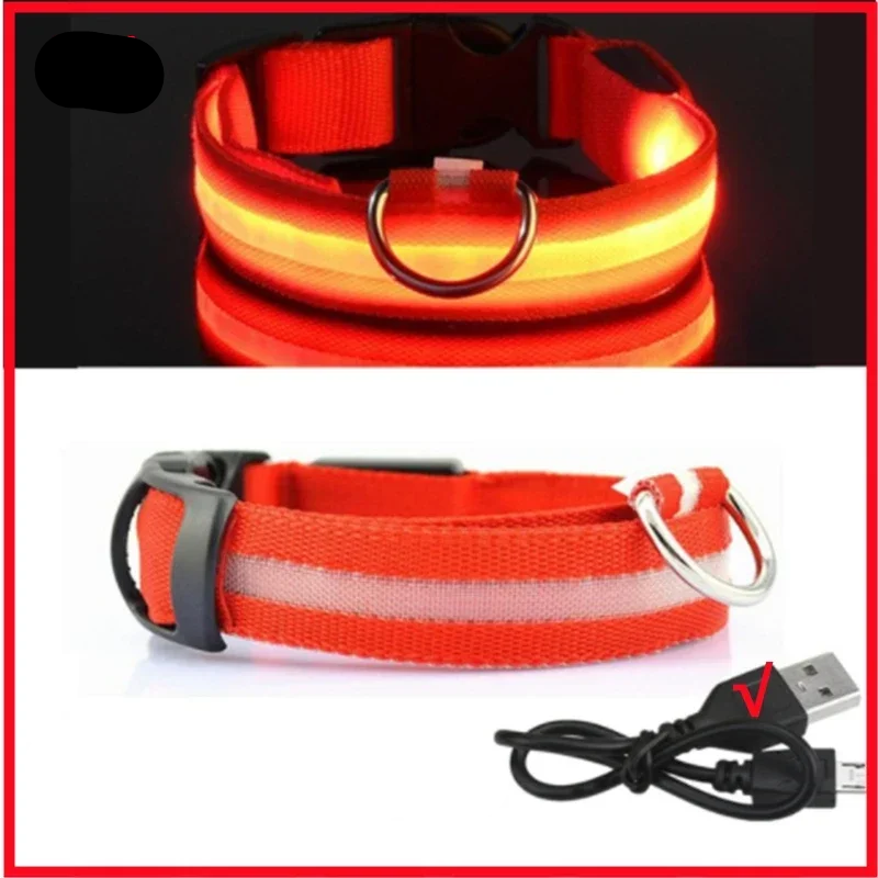 Leuchtendes Hundehalsband mit USB Aufladung