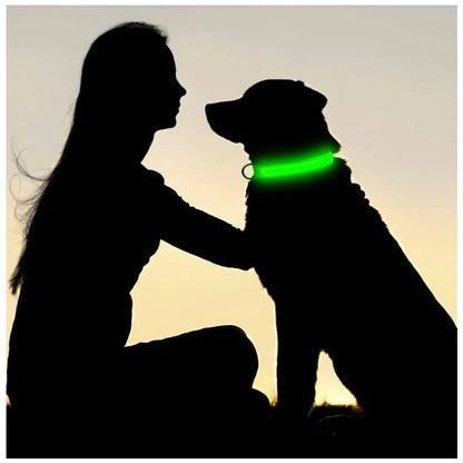 Leuchtendes Hundehalsband mit USB Aufladung