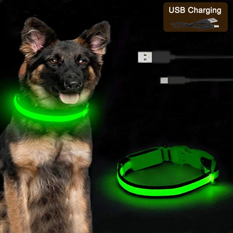 Leuchtendes Hundehalsband mit USB Aufladung
