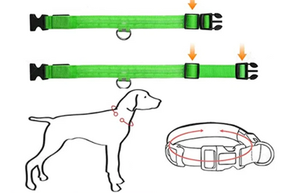 Leuchtendes Hundehalsband mit USB Aufladung