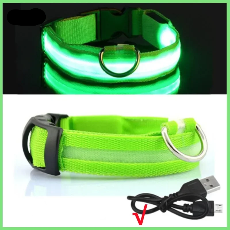 Leuchtendes Hundehalsband mit USB Aufladung