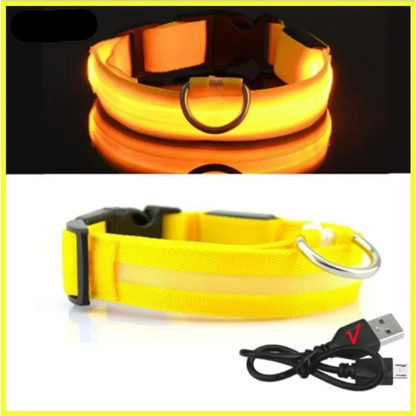 Leuchtendes Hundehalsband mit USB Aufladung