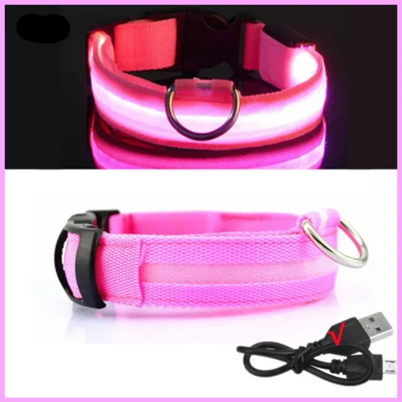 Leuchtendes Hundehalsband mit USB Aufladung