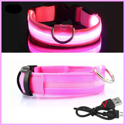 Leuchtendes Hundehalsband mit USB Aufladung