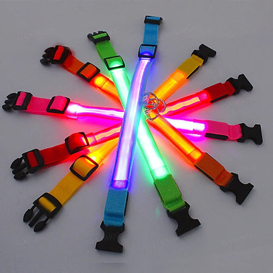 Leuchtendes Hundehalsband mit USB Aufladung