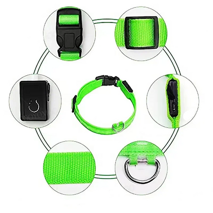 Leuchtendes Hundehalsband mit USB Aufladung