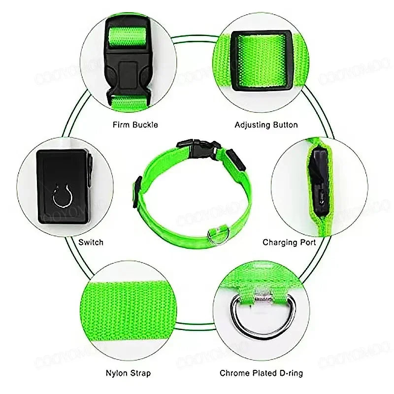 Leuchtendes Hundehalsband mit USB Aufladung