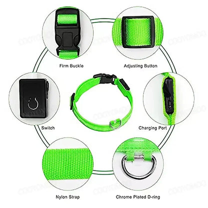 Leuchtendes Hundehalsband mit USB Aufladung