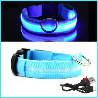 Leuchtendes Hundehalsband mit USB Aufladung