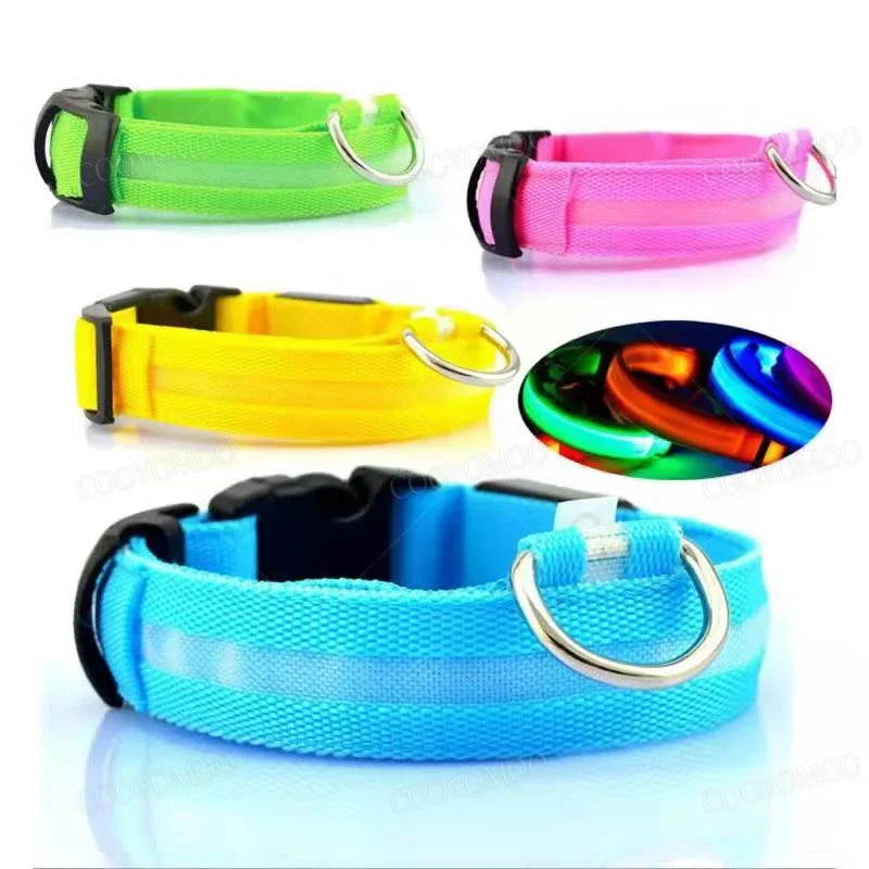 Leuchtendes Hundehalsband mit USB Aufladung