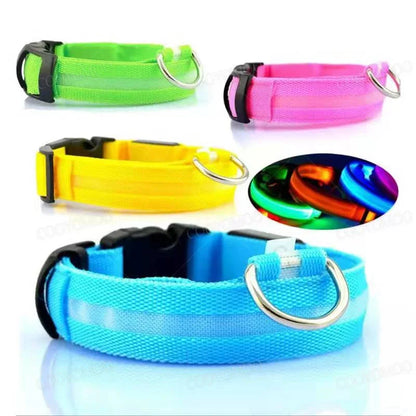 Leuchtendes Hundehalsband mit USB Aufladung