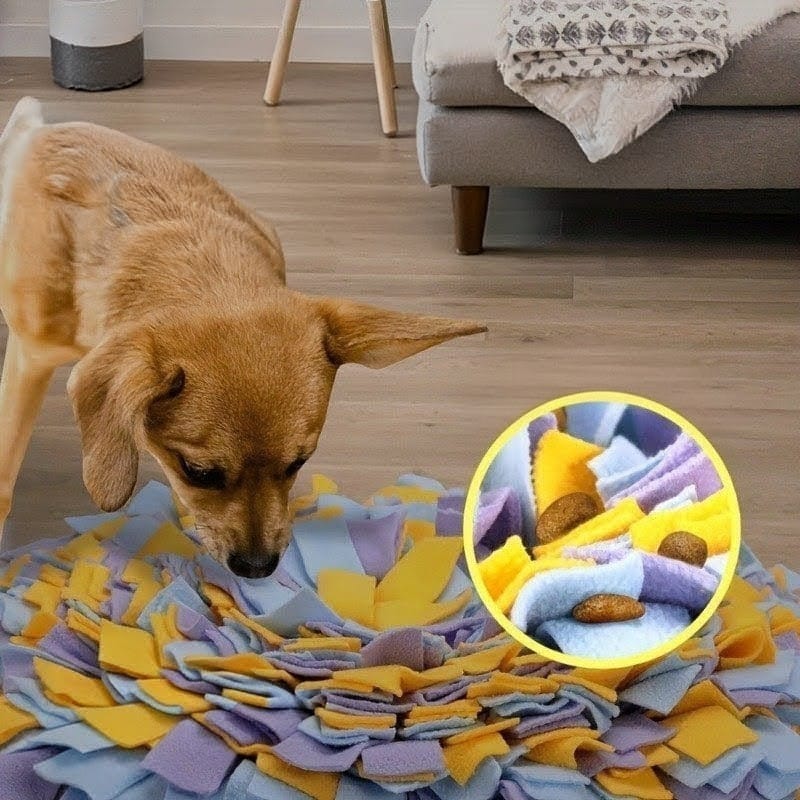 Interaktive Schnüffelmatte für Hunde