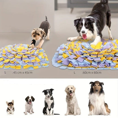 Interaktive Schnüffelmatte für Hunde